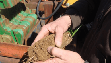 Comparing Different Types of Soil Pans: Advantages and Applications