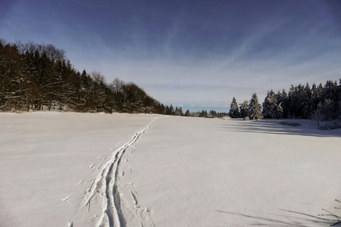 trace horizon start 512 265 8597 guiding phone discovery insights