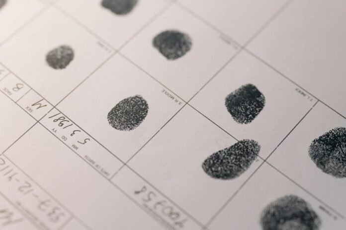 advanced record identifiers and codes