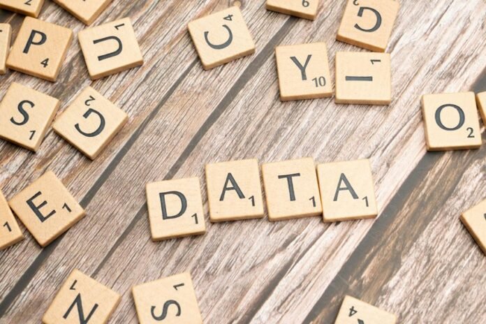 data integrity audit ids and terms
