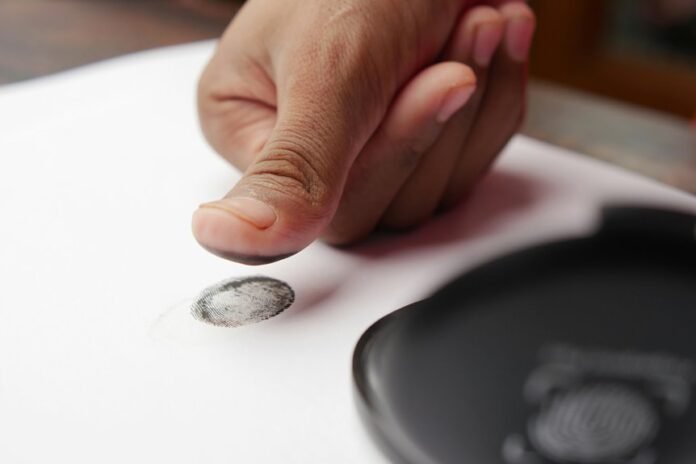 identifiers and accuracy scan results