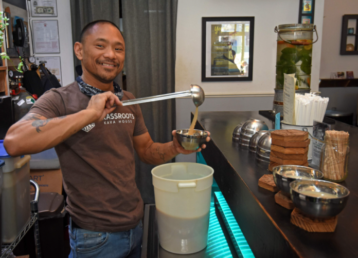 Florida Kava Bars: Why Kava Is More Popular Than Ever in 2026