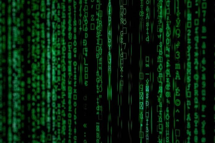 technical entry identifiers and numbers