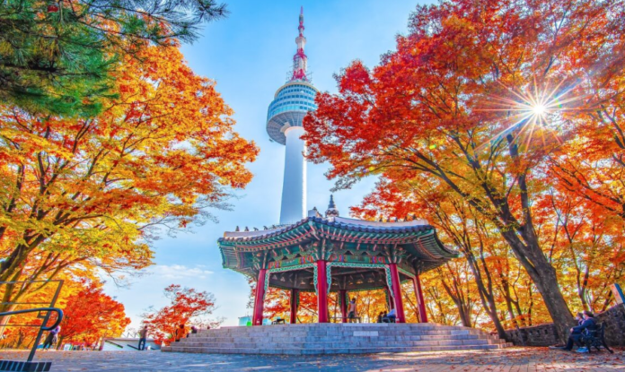 South Korea Itinerary for 7 Days: Seoul, Busan and Cultural Highlights